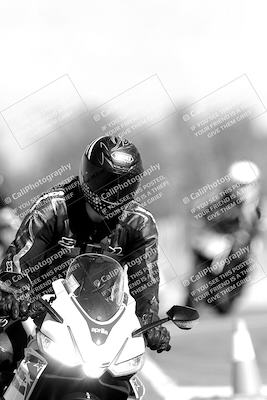 media/Nov-06-2023-Moto Forza (Mon) [[ce023d0744]]/4-Beginner Group/Session 3 (Track Exit)/